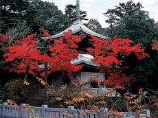 秋の風景