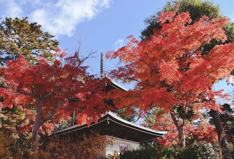 秋の村松虚空蔵尊