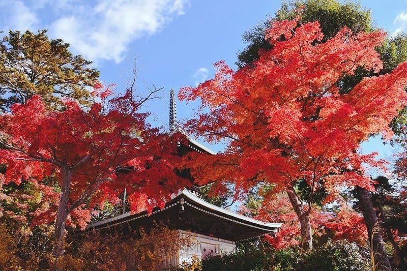 村松虚空蔵尊