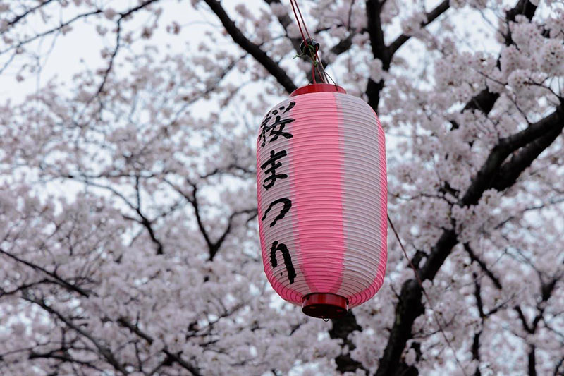桜まつり