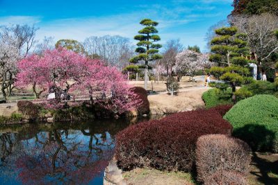 茨城県の歴史ある観光名所と見どころをご紹介